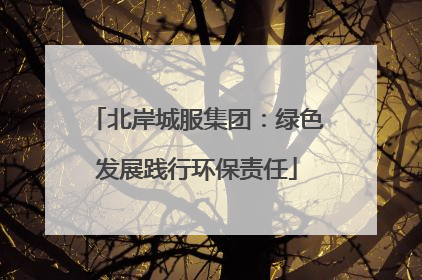 北岸城服集团：绿色发展践行环保责任