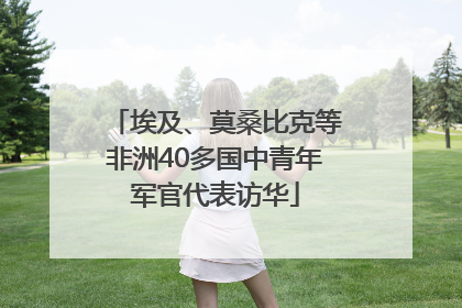 埃及、莫桑比克等非洲40多国中青年军官代表访华