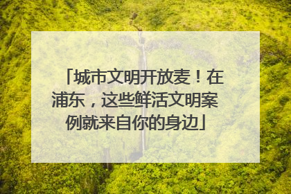 城市文明开放麦！在浦东，这些鲜活文明案例就来自你的身边
