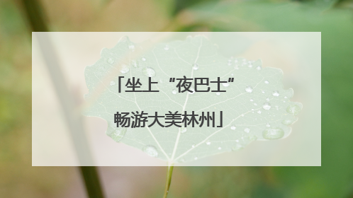 坐上“夜巴士” 畅游大美林州