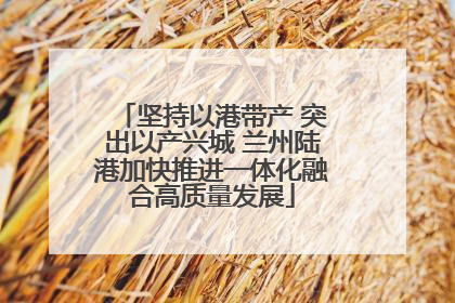坚持以港带产 突出以产兴城 兰州陆港加快推进一体化融合高质量发展