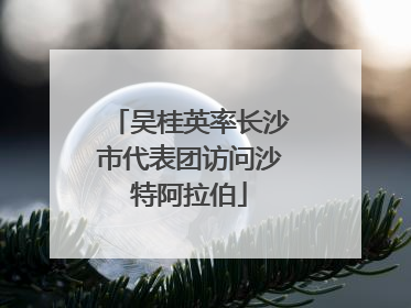 吴桂英率长沙市代表团访问沙特阿拉伯