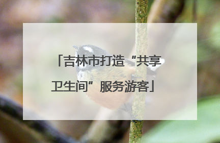 吉林市打造“共享卫生间”服务游客