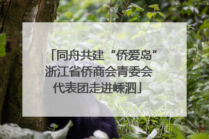同舟共建“侨爱岛” 浙江省侨商会青委会代表团走进嵊泗