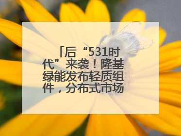 后“531时代”来袭！隆基绿能发布轻质组件，分布式市场后续会怎么走