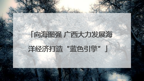 向海图强 广西大力发展海洋经济打造“蓝色引擎”