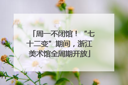 周一不闭馆！“七十二变”期间，浙江美术馆全周期开放