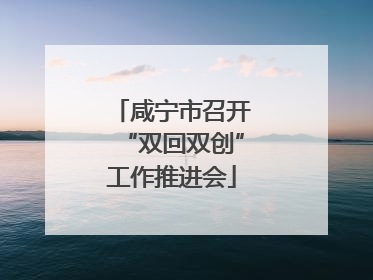 咸宁市召开“双回双创”工作推进会