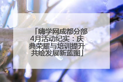 嗨学网成都分部4月活动纪实：庆典荣耀与培训提升共绘发展新蓝图