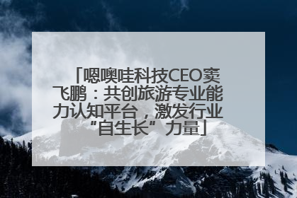 嗯噢哇科技CEO窦飞鹏：共创旅游专业能力认知平台，激发行业“自生长”力量