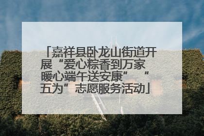 嘉祥县卧龙山街道开展“爱心粽香到万家 暖心端午送安康” “五为”志愿服务活动