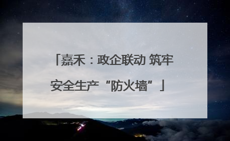嘉禾：政企联动 筑牢安全生产“防火墙”