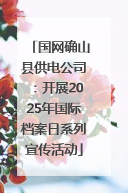 国网确山县供电公司：开展2025年国际档案日系列宣传活动