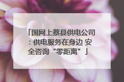 国网上蔡县供电公司：供电服务在身边 安全咨询“零距离”