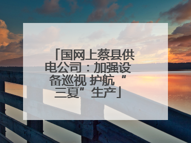 国网上蔡县供电公司：加强设备巡视 护航“三夏”生产
