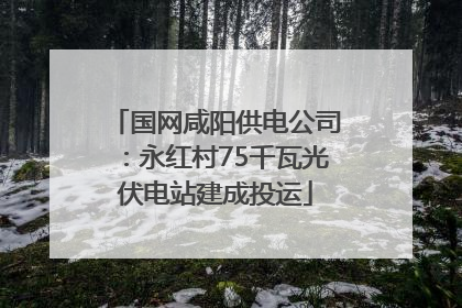 国网咸阳供电公司：永红村75千瓦光伏电站建成投运