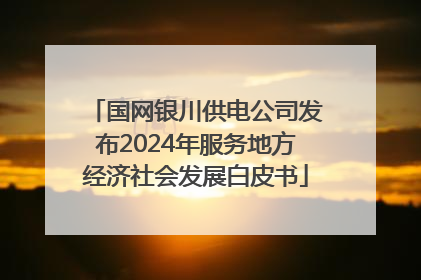 国网银川供电公司发布2024年服务地方经济社会发展白皮书