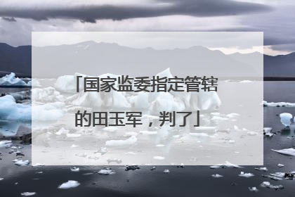 国家监委指定管辖的田玉军，判了