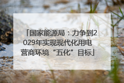 国家能源局：力争到2029年实现现代化用电营商环境“五化”目标