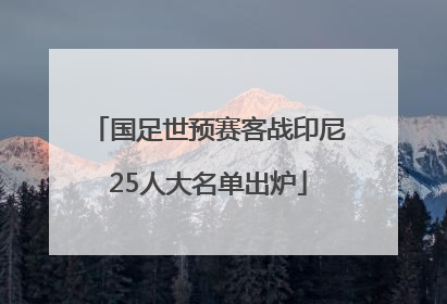 国足世预赛客战印尼25人大名单出炉