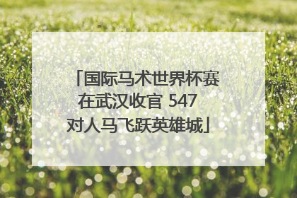 国际马术世界杯赛在武汉收官 547对人马飞跃英雄城