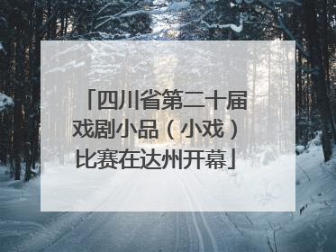 四川省第二十届戏剧小品（小戏）比赛在达州开幕