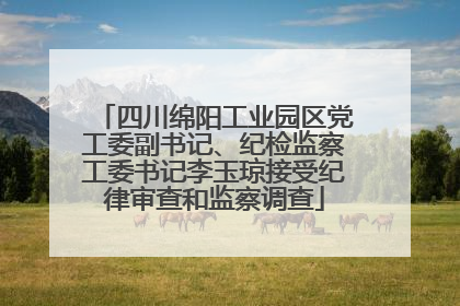 四川绵阳工业园区党工委副书记、纪检监察工委书记李玉琼接受纪律审查和监察调查