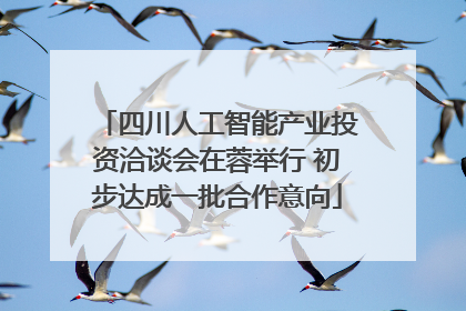 四川人工智能产业投资洽谈会在蓉举行 初步达成一批合作意向