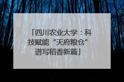四川农业大学：科技赋能“天府粮仓”谱写稻香新篇