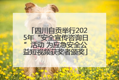 四川自贡举行2025年“安全宣传咨询日”活动 为应急安全公益短视频获奖者颁奖
