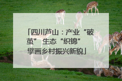 四川芦山：产业“破茧” 生态“织锦” 擘画乡村振兴新貌