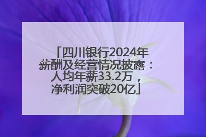 四川银行2024年薪酬及经营情况披露：人均年薪33.2万，净利润突破20亿
