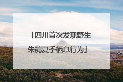 四川首次发现野生朱鹮夏季栖息行为
