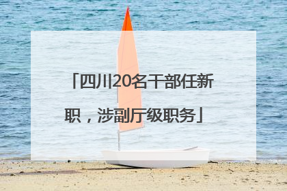 四川20名干部任新职，涉副厅级职务