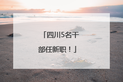 四川5名干部任新职！