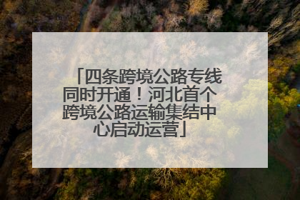 四条跨境公路专线同时开通！河北首个跨境公路运输集结中心启动运营