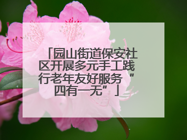 园山街道保安社区开展多元手工践行老年友好服务“四有一无”