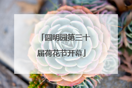 圆明园第三十届荷花节开幕