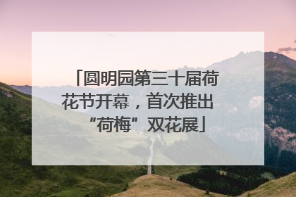 圆明园第三十届荷花节开幕，首次推出“荷梅”双花展