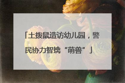 土拨鼠造访幼儿园，警民协力智擒“萌兽”