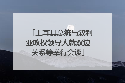 土耳其总统与叙利亚政权领导人就双边关系等举行会谈