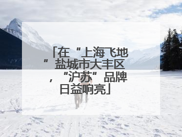 在“上海飞地”盐城市大丰区，“沪苏”品牌日益响亮