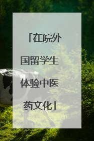 在皖外国留学生体验中医药文化