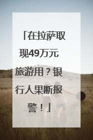在拉萨取现49万元旅游用？银行人果断报警！