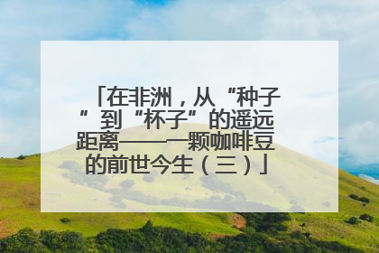 在非洲，从“种子”到“杯子”的遥远距离——一颗咖啡豆的前世今生（三）