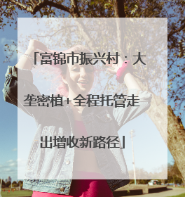 富锦市振兴村：大垄密植+全程托管走出增收新路径