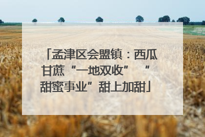 孟津区会盟镇：西瓜甘蔗“一地双收” “甜蜜事业”甜上加甜