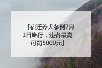 宿迁养犬条例7月1日施行，违者最高可罚5000元