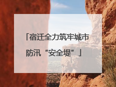 宿迁全力筑牢城市防汛“安全堤”