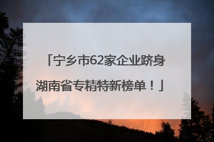 宁乡市62家企业跻身湖南省专精特新榜单！